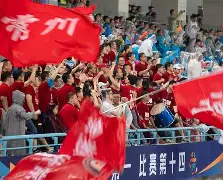 太阳队主力受伤球迷揪心球队成绩下滑(太阳队糟糕的防守问题一直没有改善比赛连连失利)