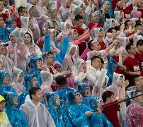 太阳队主力受伤球迷揪心球队成绩下滑(太阳队糟糕的防守问题一直没有改善比赛连连失利)